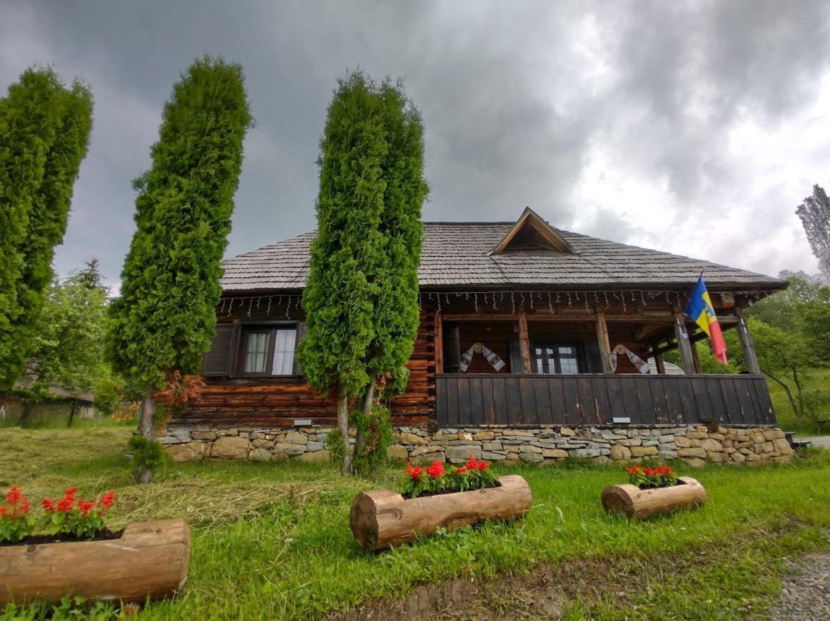 Casuta Lu' Liviu Vila Borşa Exterior foto