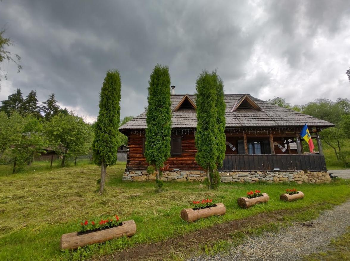 Casuta Lu' Liviu Vila Borşa Exterior foto