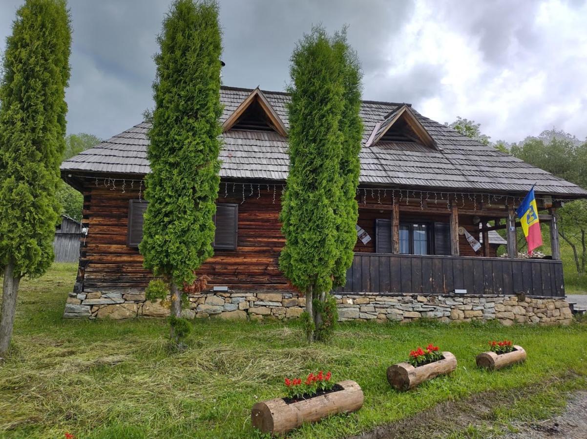 Casuta Lu' Liviu Vila Borşa Exterior foto